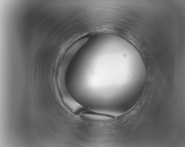 X0000070880193200606302146