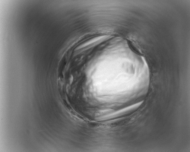 X0000070880194200606302146