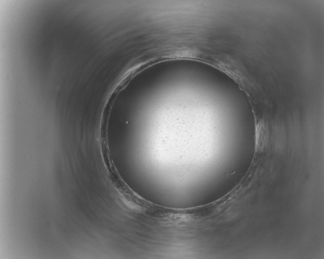 X0000070880195200606302146