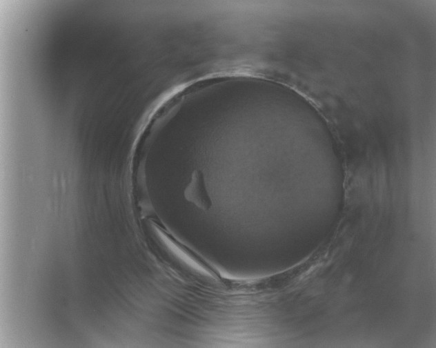 X0000070880200200606302146