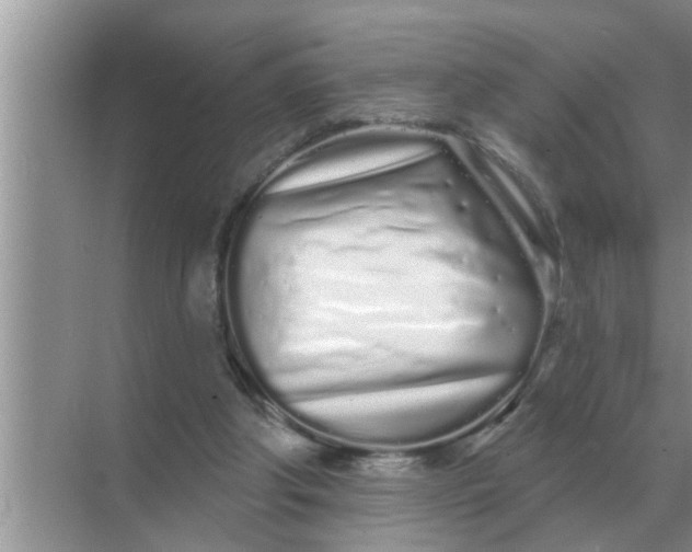 X0000070880202200606302146