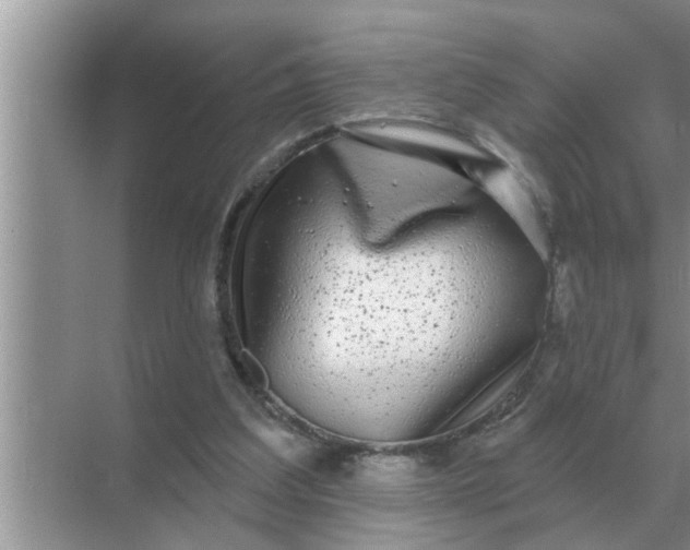 X0000070880203200606302146