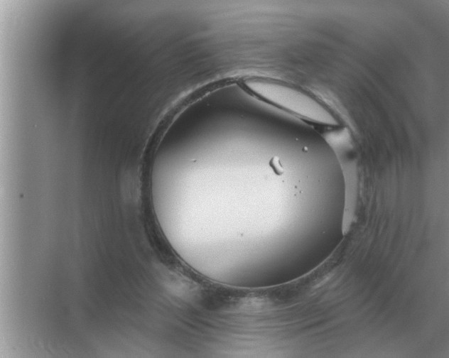 X0000070880204200606302146