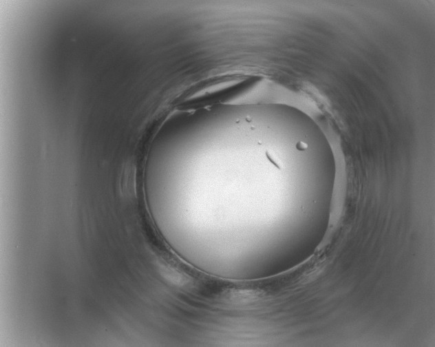 X0000070880205200606302146