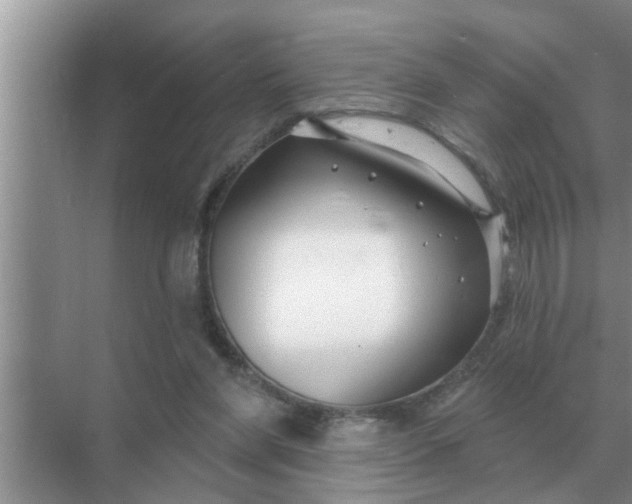 X0000070880206200606302146