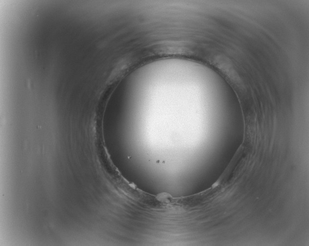 X0000070880207200606302146