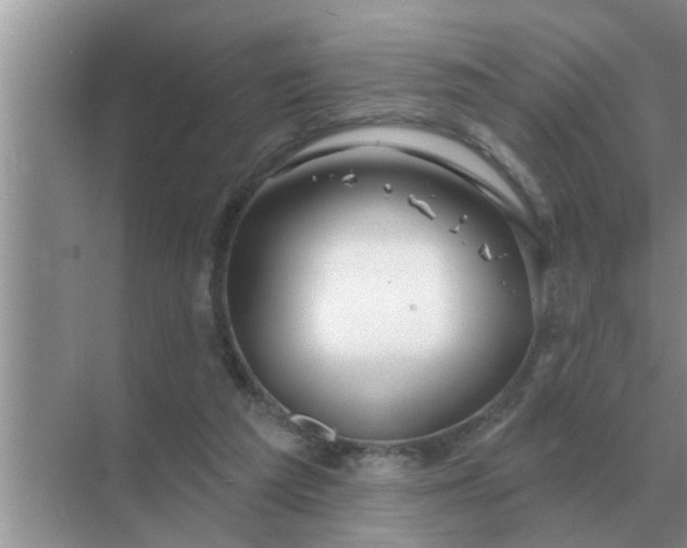 X0000070880209200606302146