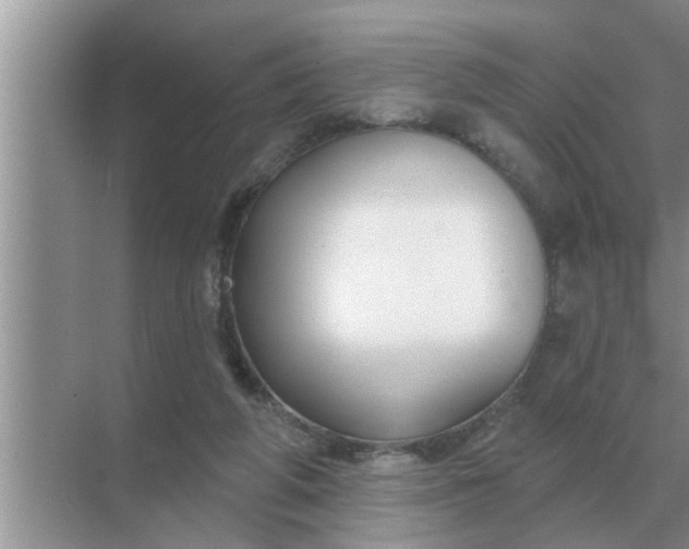 X0000070880210200606302146