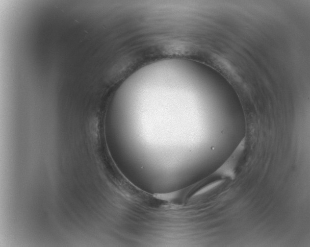 X0000070880211200606302146