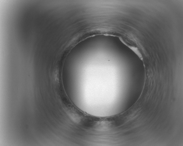 X0000070880212200606302146