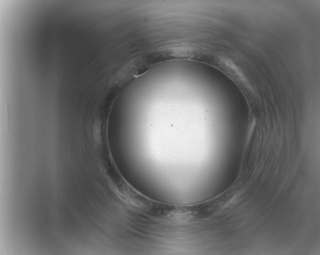 X0000070880213200606302146