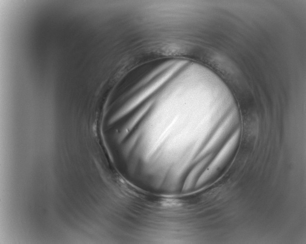 X0000070880214200606302146