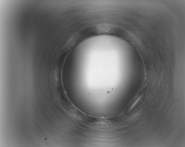 X0000070880215200606302146