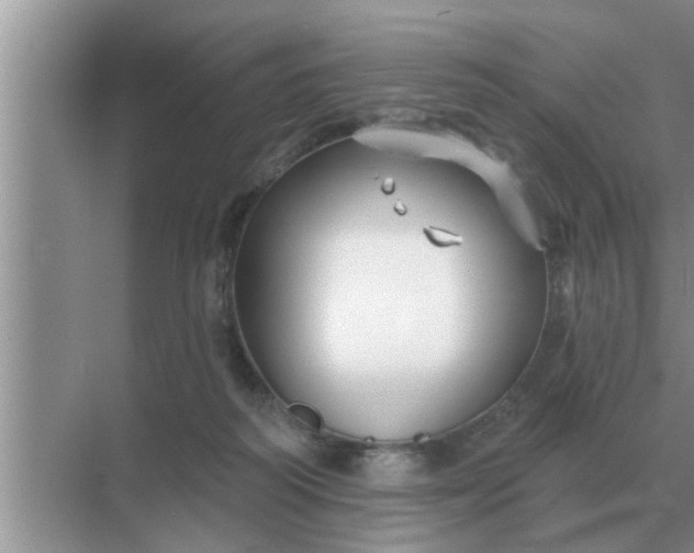 X0000070880218200606302146