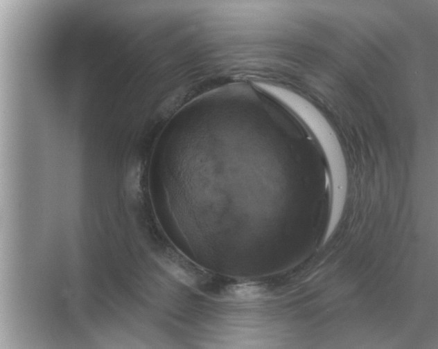 X0000070880219200606302146