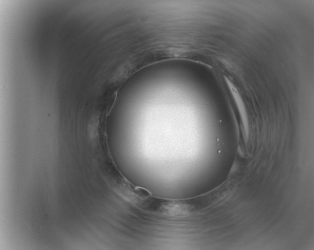 X0000070880221200606302146