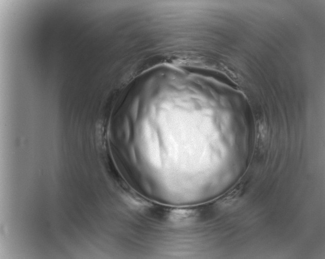 X0000070880222200606302146