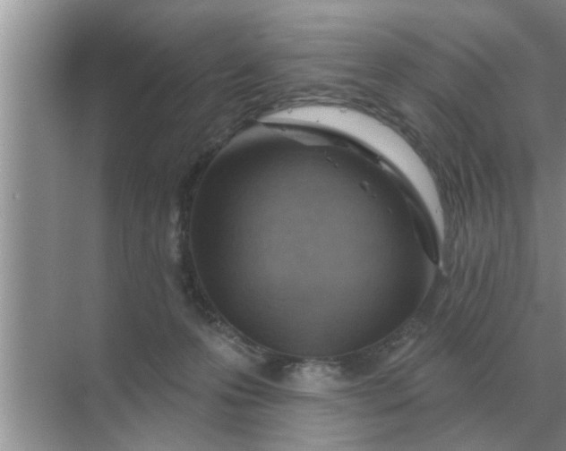 X0000070880223200606302146