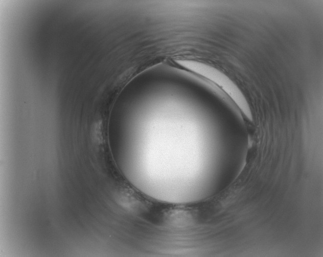 X0000070880224200606302146