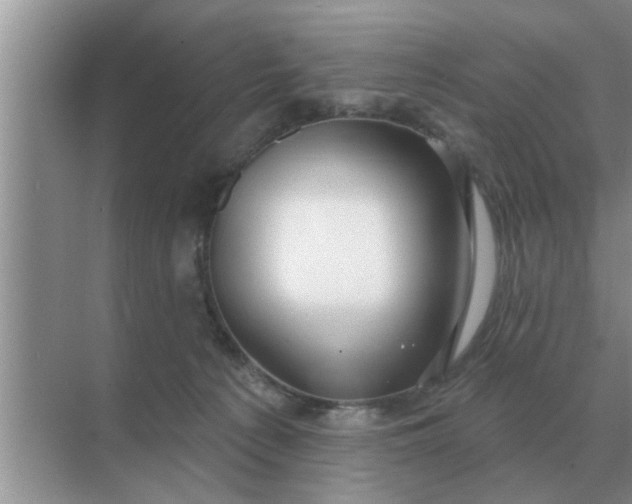 X0000070880225200606302146