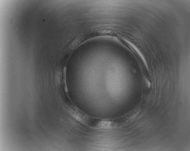 X0000070880227200606302146