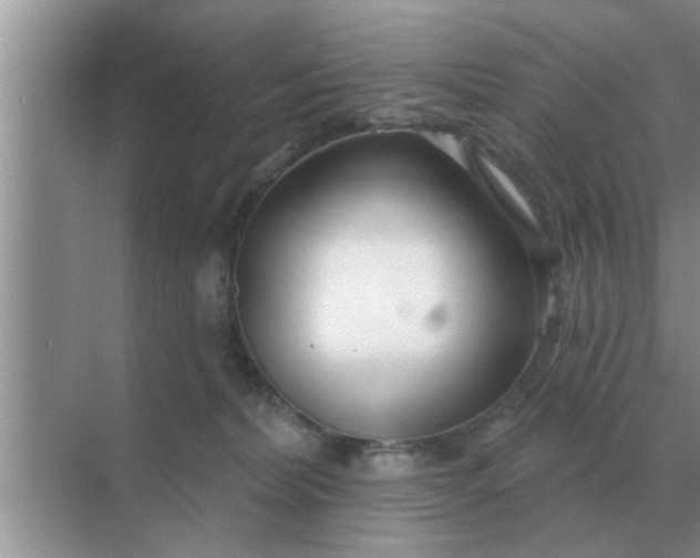 X0000070880228200606302146