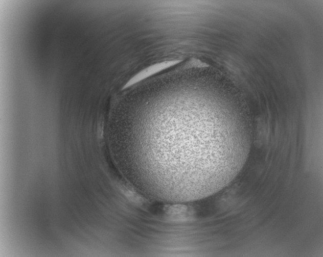 X0000070880230200606302146