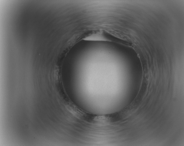 X0000070880231200606302145