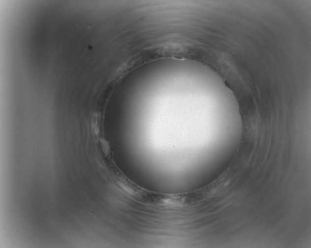 X0000070880232200606302145