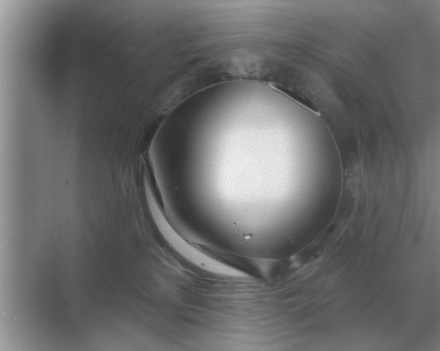 X0000070880233200606302145