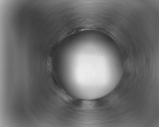 X0000070880234200606302145