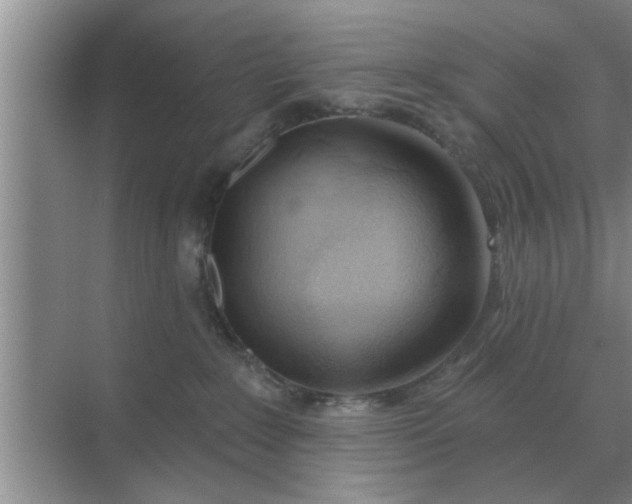 X0000070880235200606302145