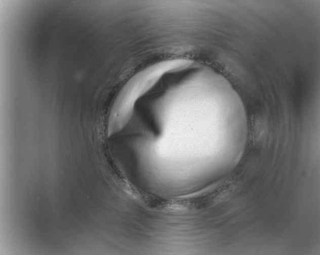 X0000070880236200606302145