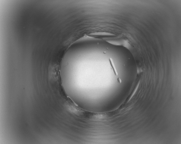 X0000070880237200606302145