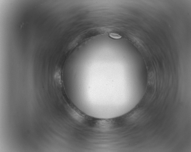 X0000070880238200606302145