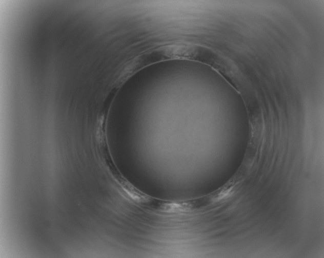 X0000070880239200606302145