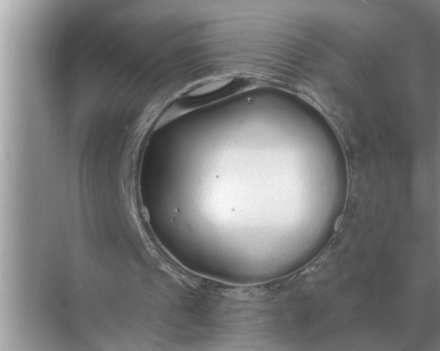 X0000070880241200606302145