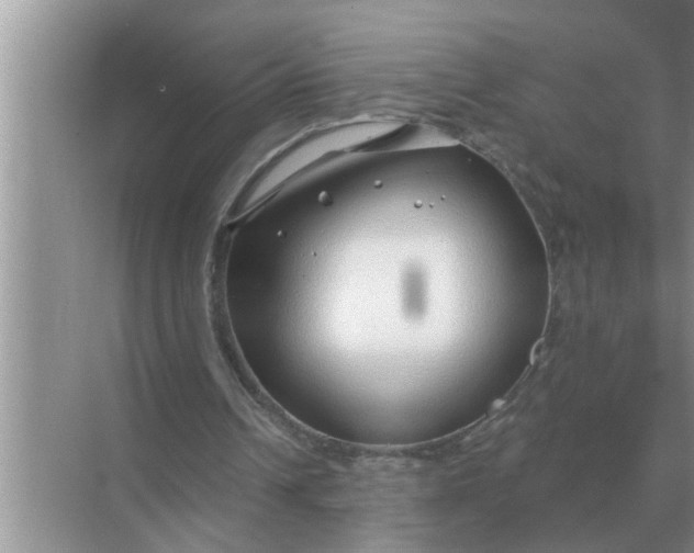 X0000070880242200606302145