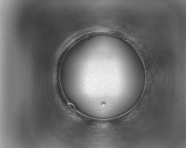 X0000070880247200606302145