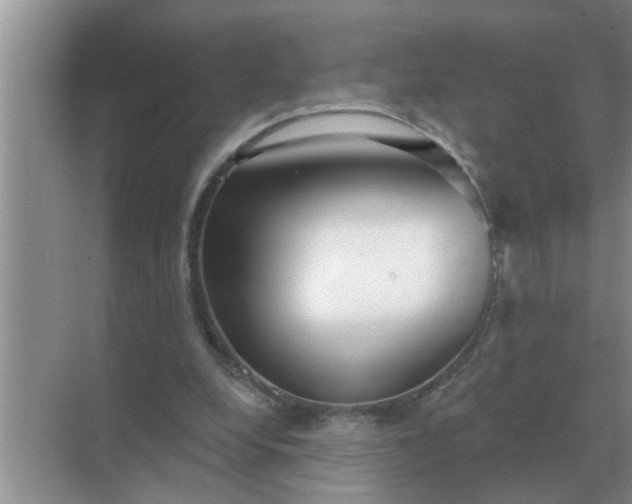 X0000070880248200606302145