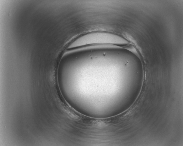 X0000070880249200606302145