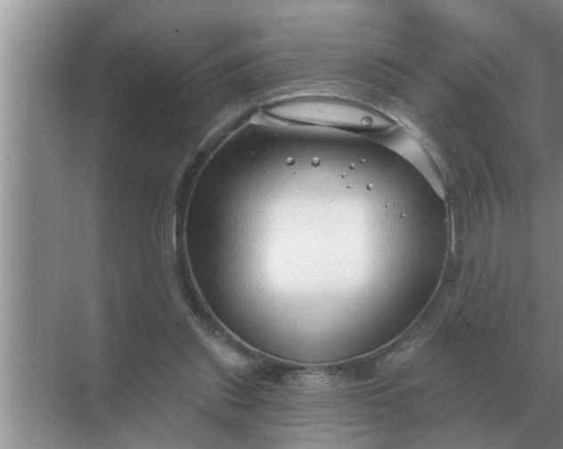 X0000070880253200606302145