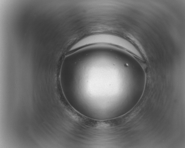 X0000070880257200606302145