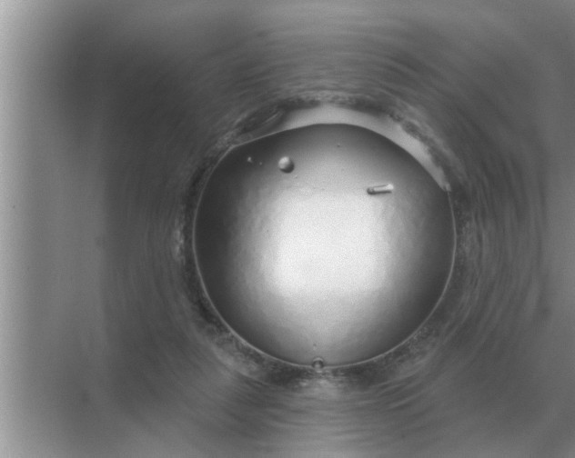 X0000070880259200606302145