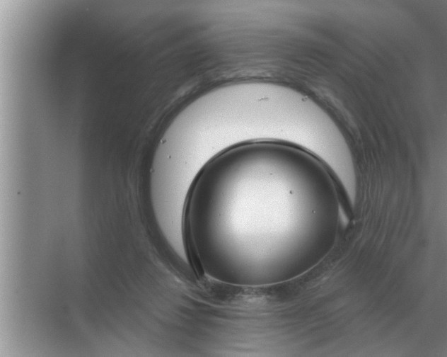 X0000070880260200606302145