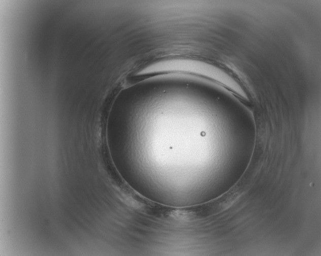 X0000070880261200606302145