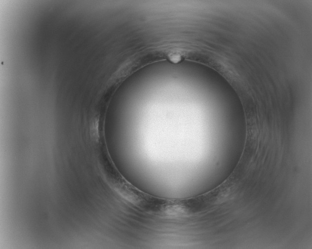 X0000070880262200606302145