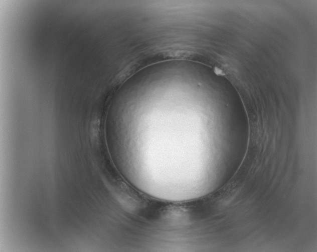 X0000070880263200606302145