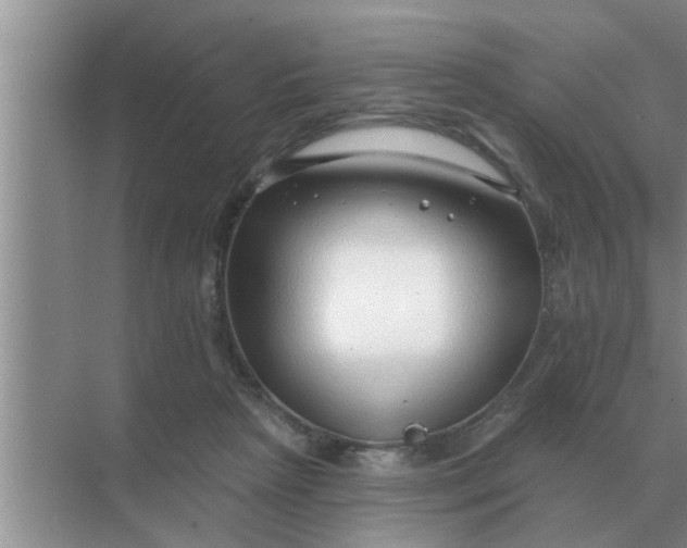 X0000070880265200606302145