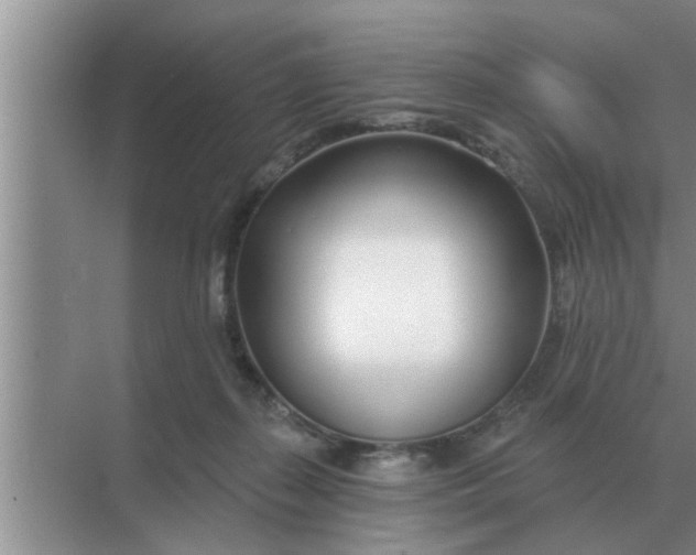 X0000070880267200606302145